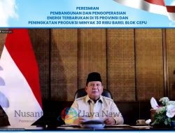 Bukti PLN untuk Rakyat, 47 PLTS Diresmikan Presiden, 5.383 Rumah Tangga di Wilayah 3T Kini Nikmati Listrik Bersih