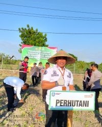 Dukung Program Asta Cita Presiden Prabowo, Perhutani Hadiri Penanaman Jagung Serentak di Situbondo