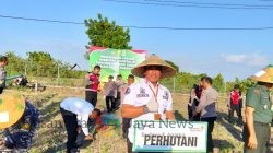Dukung Program Asta Cita Presiden Prabowo, Perhutani Hadiri Penanaman Jagung Serentak di Situbondo