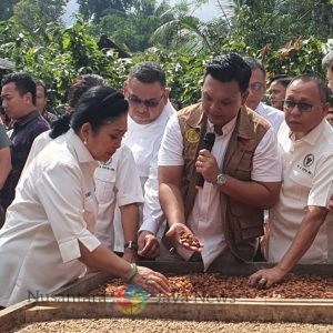 Kepala Barantin dan Komisi IV DPR RI Tinjau Produk Kakao Ekspor Asal Tabanan