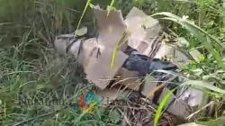 Warga Kedamean Gresik Digegerkan Penemuan Mayat Terbungkus Kardus dan Plastik