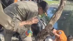 Petugas Gabungan Evakuasi Motor Tercebur ke Sungai Karang Menjangan, Pengendara Alami Luka di Wajah