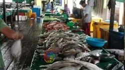 Warga Minta KKP Segera Realisasikan Pembangunan Pasar Ikan Ranai di Natuna