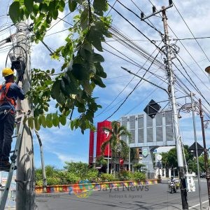 Langkah Proaktif PLN Icon Plus Jatim Jaga Keandalan Infrastruktur dan Estetika Kota Madiun