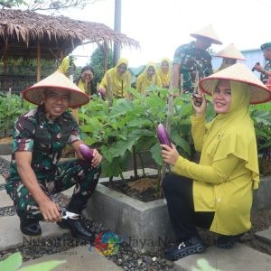 Pemanfaatan lahan yang Inovatif Prajurit Yonif 122/TS dan Persit Panen hasil Kebun Modern Dan Toga Yonif 122/TS