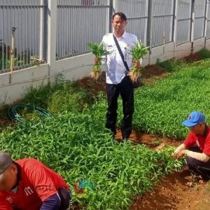 Pembinaan Kemandirian, Warga Binaan Lapas Batang Semangat Panen Sayuran Tauge dan Kangkung