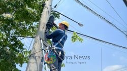 PLN Icon Plus Terus Perkuat Keandalan Layanan Lewat Preventive Maintenance Jaringan Fiber Optik