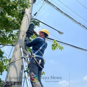 PLN Icon Plus Terus Perkuat Keandalan Layanan Lewat Preventive Maintenance Jaringan Fiber Optik