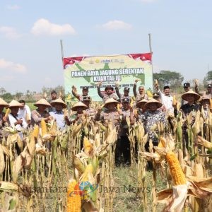 Panen Raya Jagung Serentak, Polres Nganjuk Sumbang 10 Ton di Kuartal III 2025