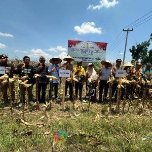 Kapolres Dompu Gelar Panen Raya Jagung Kuartal III dan Zoom Metting Dengan Presiden RI dan Kapolri