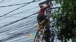 Terus Berkomitmen Wujudkan Layanan Andal, PLN Icon Plus Perkuat Aset dan Infrastruktur Digital di Sidoarjo