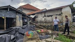 Polres Pamekasan Gerebek Arena Judi Sabung Ayam di Blaban, 12 Orang Diamankan