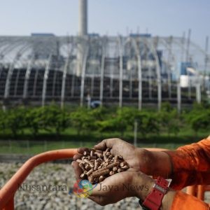 Ajang PLN Journalist Awards 2025 Dibuka, Apresiasi untuk Pewarta Penggerak Literasi Energi Nasional