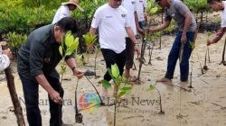 Jaga Lingkungan, Bobylovers Bersama Bank Sumut Perbaiki Hutan Mangrove di Lubuk Kertang Langkat