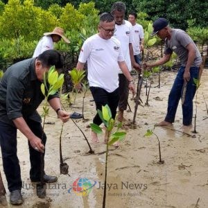 Jaga Lingkungan, Bobylovers Bersama Bank Sumut Perbaiki Hutan Mangrove di Lubuk Kertang Langkat