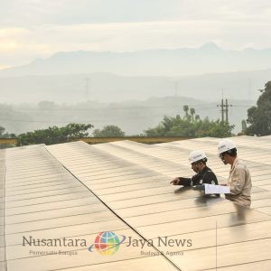 Waspada Penipuan! PLN Pastikan Rekrutmen Gratis dan Transparan