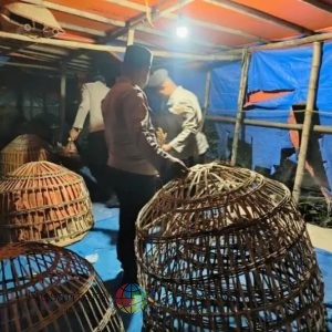 Polres Lamongan Bongkar Arena Judi Sabung Ayam di Dua Lokasi
