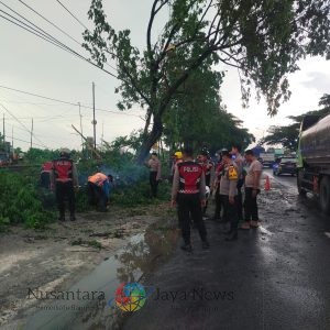 Aksi Tanggap Bencana, Polres Lamongan Evakuasi Pohon Tumbang di Sukodadi