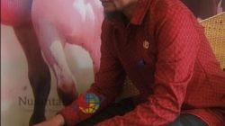 Disela Acara HKG PKK Dompu, Paman Sher Pengalaman Terkait Peran Istri Sukseskan Karir Suami