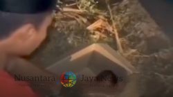 Bayi Perempuan Ditemukan di Dalam Kardus di Pamekasan, Polisi Lakukan Penyelidikan