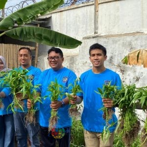 Panen Perdana Kangkung Lapas Tegal, Wujud Nyata Sukseskan Ketahanan Pangan