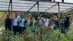 YBM PLN UIP JBTB Dukung KUC Cah Angon Kembangkan Budidaya Lele untuk Kemandirian Warga Ketintang