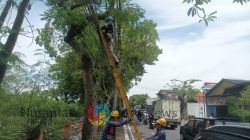Terus Berkomitmen Wujudkan Layanan Andal, PLN Icon Plus Bersama Pemkot Surabaya Tata Ulang Infrastruktur Digital Kota