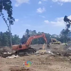 Tambang Ilegal Area Kebun Raya Ratatotok Semakin Hancur, Dampak Bencana Besar Ancam Warga