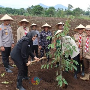 Polresta Banyuwangi Dorong Penguatan Ketahanan Pangan Lewat Penanaman Jagung Kuartal IV 2025