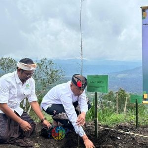 BKSDA Bali Gelar Guru Piduka dan Penanan pohon di TWA Penelokan Pulihkan Harmoni Alam
