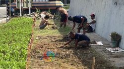 Lahan Sempit Jadi Produktif, Lapas Tegal Perkuat Ketahanan Pangan