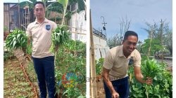 Panen Kangkung Lagi, Bukti Nyata Ketahanan Pangan di Lingkungan Lapas Tegal