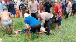 Unit Laka Polres Pasuruan Bergerak Cepat Tangani Tabrakan Mobil–Kereta di Beji, Empat Meninggal Dunia