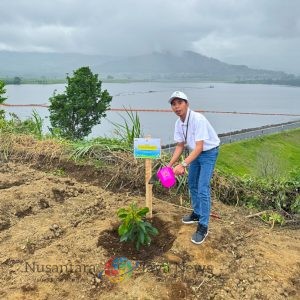 PLN Icon Plus dan PLN Grup Jawa Timur Tanam 10.000 Bibit Pohon di Bendungan Selorejo Peringati Hari Menanam Pohon Indonesia 2025