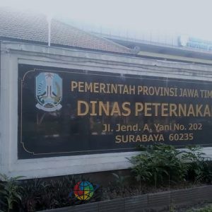Dinas Peternakan Jawa Timur harus bertanggung jawab atas dugaan kerugian Negara yang timbul akibat inkonsistensi pemenuhan spesifikasi ternak dibandingkan tahun tahun sebelumnya