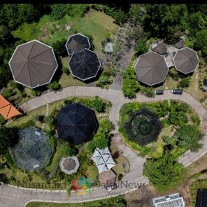 Nuanu Creative City Hadirkan Magic Garden, Salah Satu Destinasi yang Wajib di Kunjungi