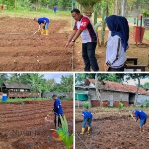 Program Pertanian SAE di Lapas Batang Kembali Bergeliat, Warga Binaan Tanam Kacang Panjang