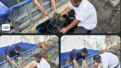 Panen Lele Berkualitas: Lapas Tegal Perketat Proses Sortir Ikan