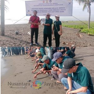 Konservasi Penyu, Fakultas Tehnik Universitas Mahasaraswati Lepas Tukik di Pantai Saba