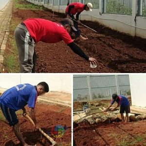 Semangat Berkarya, Warga Binaan Lapas Batang Tanam Sawi di Area Brandgang