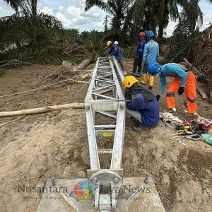 PLN Terus Kebut Siang Malam Perbaiki Jalur Listrik Langsa-Pangkalan Brandan, Penopang Pemulihan Kelistrikan Aceh