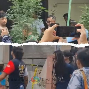 Polres Jombang Bongkar Pertanian Ganja Sistem Green House di Rumah Kontrakan, Ratusan Pohon Diamankan