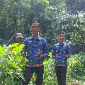 Panen Terong Jadi Bukti Keberhasilan Pembinaan Kemandirian Warga Binaan Lapas Batang