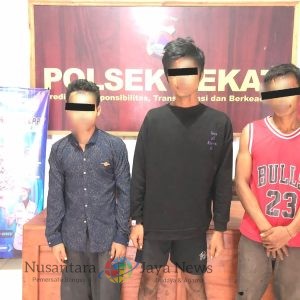 Garong 5 Kg Biji Mente di Kadindi,Tiga Pria Pengangguran dan BB di Amankan ke Mapolsek Pekat
