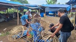 Polresta Banyuwangi Bongkar Arena Judi Sabung Ayam