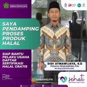 Pemilik Perusahaan DIDI DIGITAL CREATIF dinyatakan Lulus Sebagai Tenaga Pendamping (P3H)