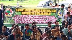 Ketua Koperasi BAN Ajak Anggota Siaga Pertahankan Aset Plasma 47.000 Hektare