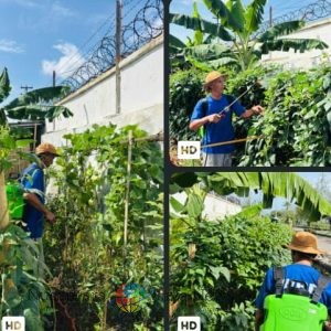 Lapas Tegal Sulap Lahan Sempit Jadi Kebun Produktif Dari Cabai hingga Melon
