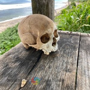 Warga Temukan Tengkorak Kepala Manusia di Pantai Hu,u, Polsek Bareng Tim Inavis Polres Dompu Turun Ke TKP