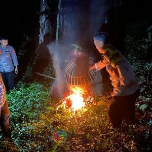 Polres Malang Kembali Bongkar Lokasi Judi Sabung Ayam di Sumberpucung